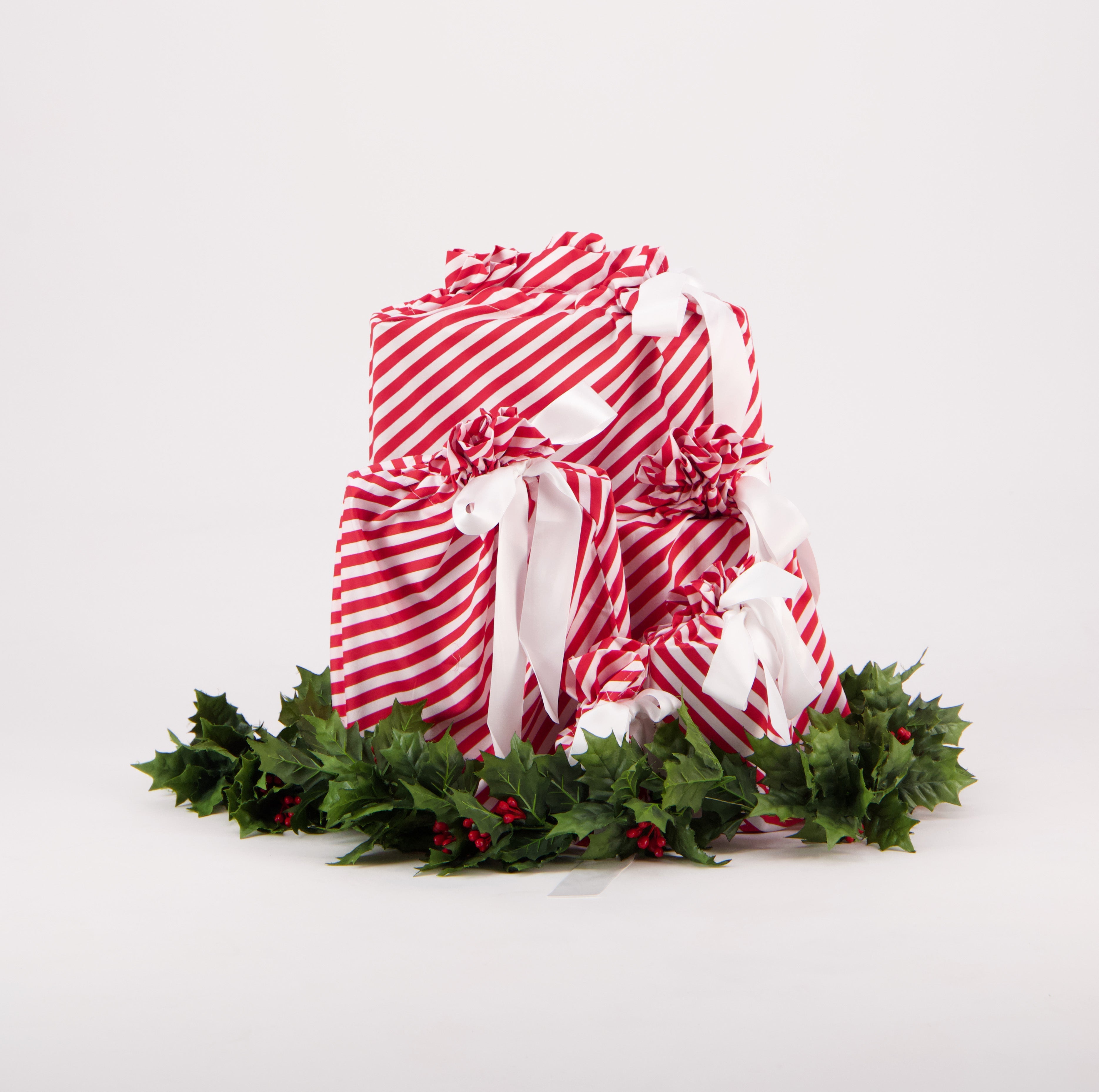 Red stripe (Reusable Gift Bag Set)